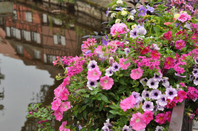 Colmar - little Venice