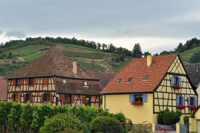 Niedermorschwihr