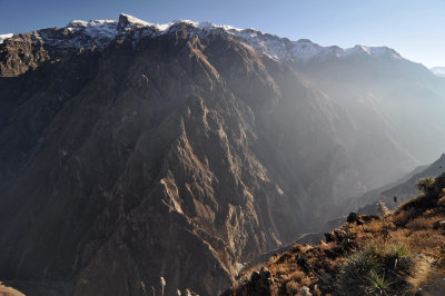 Canyon de Colca