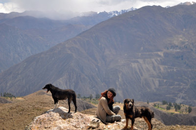 Canyon de Colca - hanging out with stray dogs
