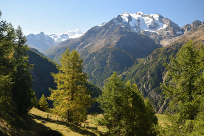 Fall colors along Gsponer Hohenweg