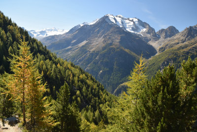 Fall colors along Gsponer Hohenweg