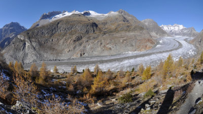 Aletsch Glacier - Fisheye view