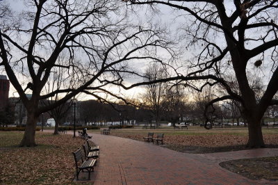Lafayette Square