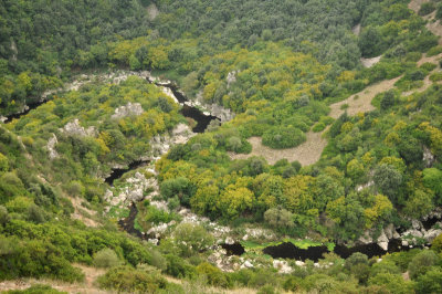 Canyon bottom, Laterza