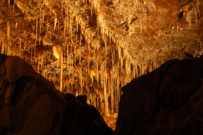 DSC_1072.jpg