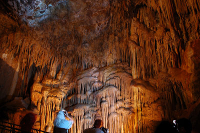 DSC_1078.jpg
