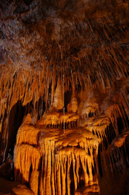 DSC_1088.jpg