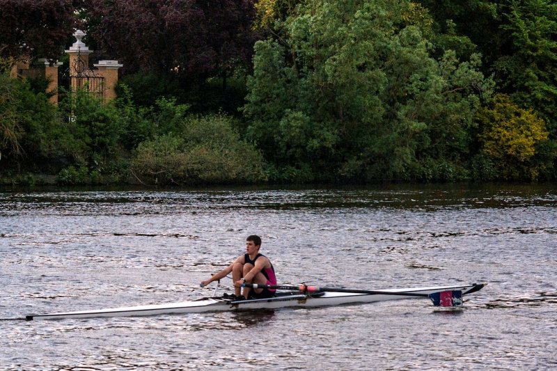 I2013 - Twickenham Regata - MGP8668