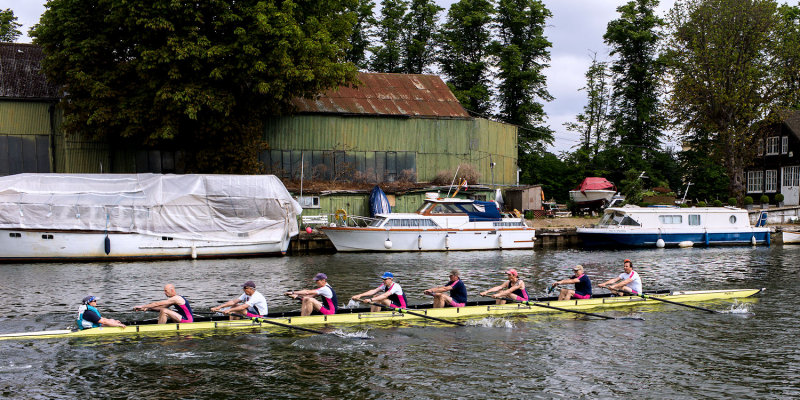 2013 - Molesey Regatta - MEL1001821