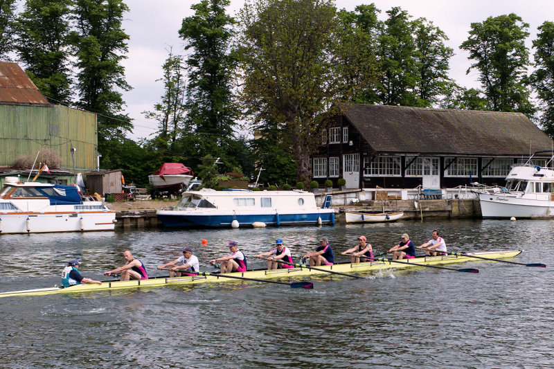 2013 - Molesey Regatta - MEL1001822