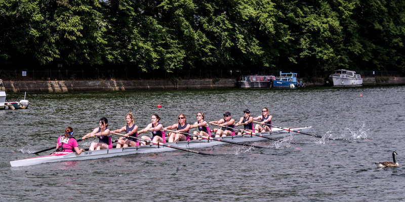 2013 - Molesey Regatta - K50IMGP0076
