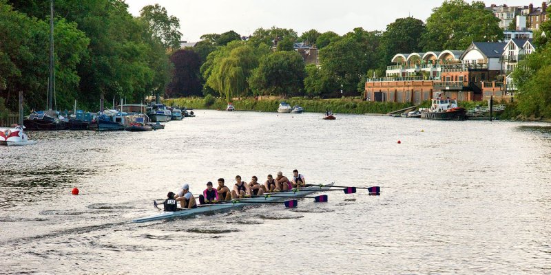 2014 - Twickenham Regatta - L1001993