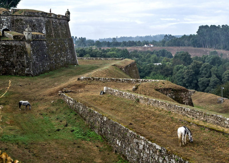 2016 - Tui & Valença - IMGP2399