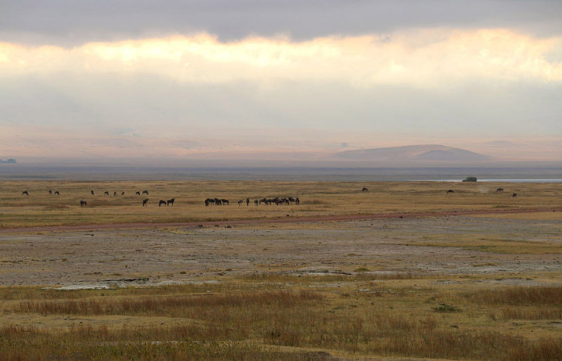 40720_108_Ngorongoro-Crater-floor.JPG