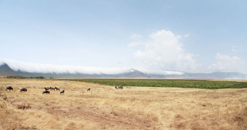 40720_126_Ngorongoro-Crater-floor.JPG
