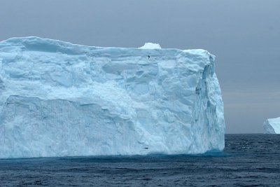 BDU132_80_Iceberg-Between-Chatham-Christchurch.jpg