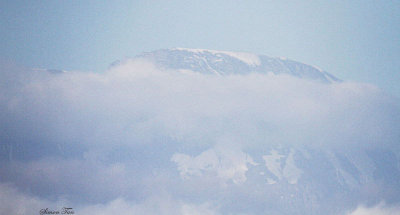 40718_113_Kilimanjaro.JPG