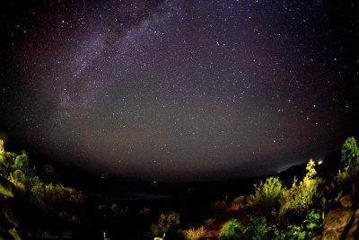 40719_134_Milky-Way-Ngorongoro.JPG