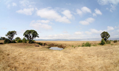 40720_118_Ngorongoro-Crater-floor.JPG