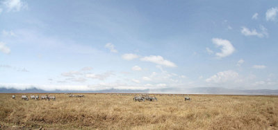 40720_122_Ngorongoro-Crater-floor.JPG