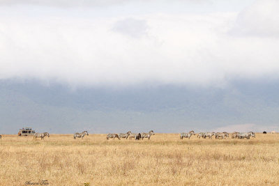 40720_142_Ngorongoro-Crater-floor.JPG