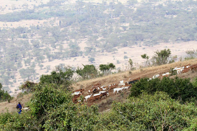 40720_158_Ngorongoro.JPG