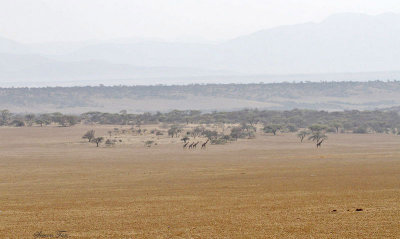 40721_112_Outside-Ngorongoro.jpg
