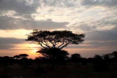 40722_130_Serengeti-Sunset.JPG