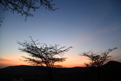 40723_110_Serengeti-Sunrise.JPG