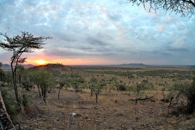 40723_139_Serengeti.jpg