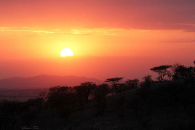 40723_140_Serengeti-Sunset.JPG