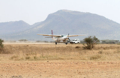 40724_125_Serengeti-Airstrip.JPG