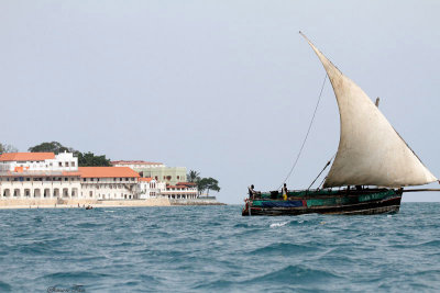 40725_120_Zanzibar.JPG