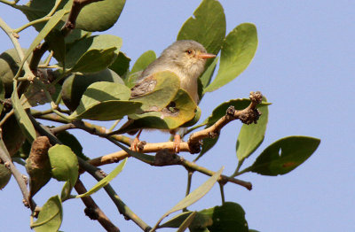 20140722_1476-id.JPG