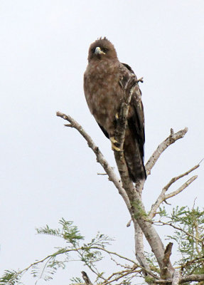 20140726_1836-id.JPG