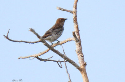 20140728_1912-id.JPG