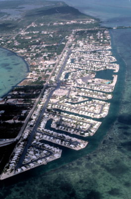 dm0797.jpg