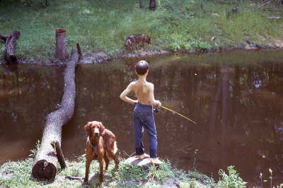 BradleyDogs1970.jpg