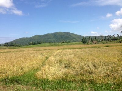 IMG_0616.JPG
