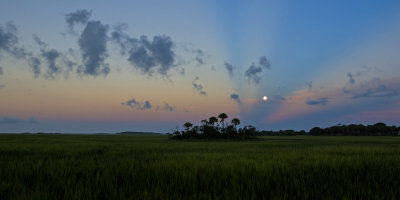 Marsh views