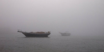 River and marsh views with fog