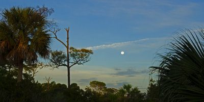Full moon setting over the marsh