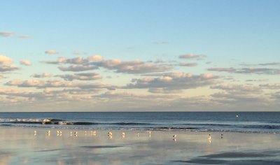 folly beach, November afternoon