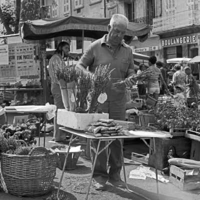 vendeur de lavande