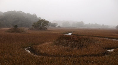 marsh pano foggy-1a.jpg