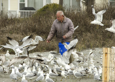 Jerry feeds the gulls