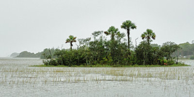 Flooding at Folly