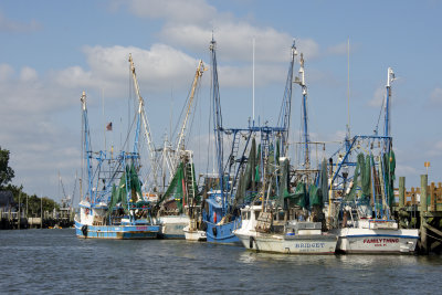 Shem Creek