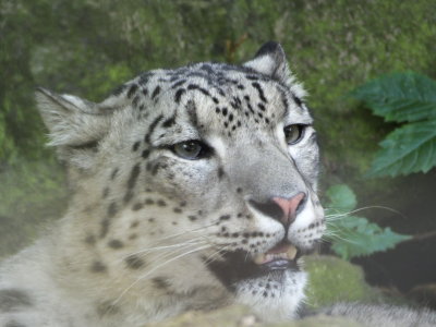 DSCF1004.JPG